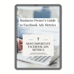Business Owners Guide To Facebook Ads_Mock ipad up Shameka (1)